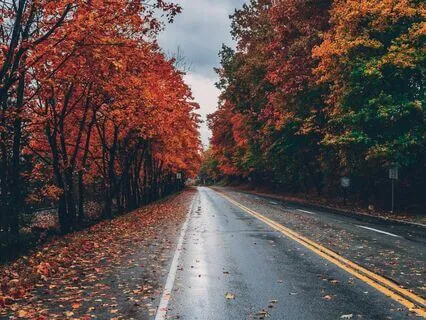 Peaceful Pathways: Break Free from Anxiety (8D Audio)