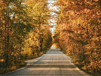 Peaceful Pause: Find Your Inner Peace