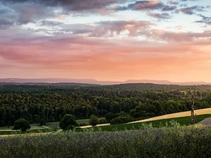 Peaceful Pause: Quick Stress Relief