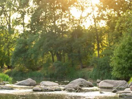 Peaceful Pause: Unwind And Relax