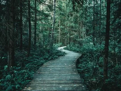 Peaceful Perseverance: Finding Balance In Adversity