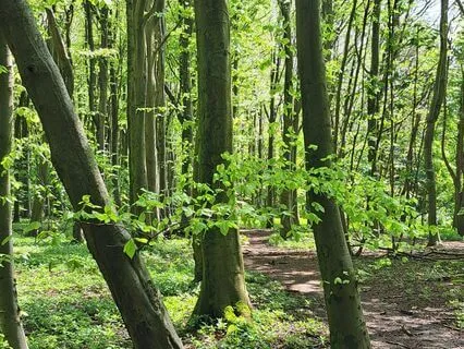 Peaceful Place Meditation