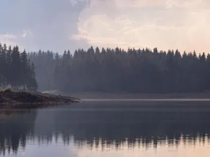 Peaceful Presence