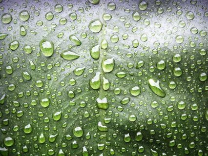 Peaceful Rainy Night