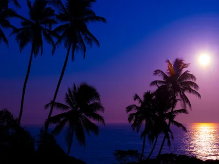 Peaceful Relaxation For When You Need A Rest