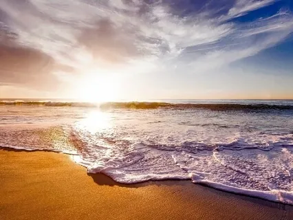 Peaceful Relaxation Meditation  - 20-Minute Daily Insight