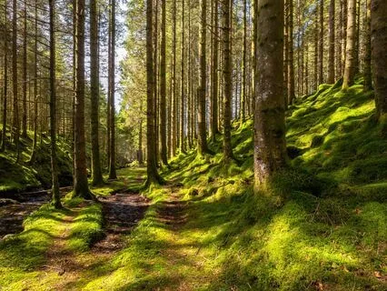 Peaceful Release: Wash Away Your Worries