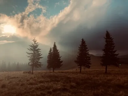 Peaceful Resolve (Acoustic Guitar) 