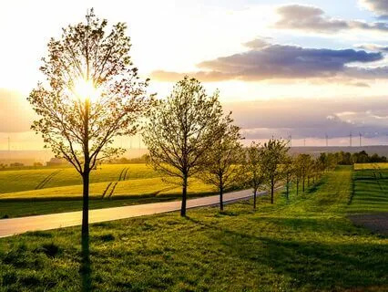 Peaceful Resonance: Restore Inner Balance