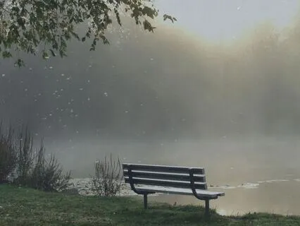 Peaceful Reverie 1 Hour Version For Emotional Healing