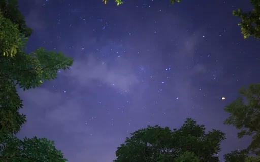 Peaceful Sleep And Calm An Overactive Mind