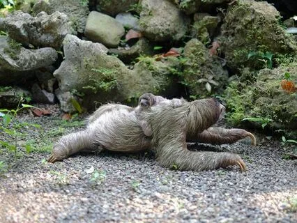 Peaceful Sleep Begins With A Peaceful Mind