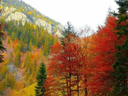 Sleep Peacefully: Nature Visualization