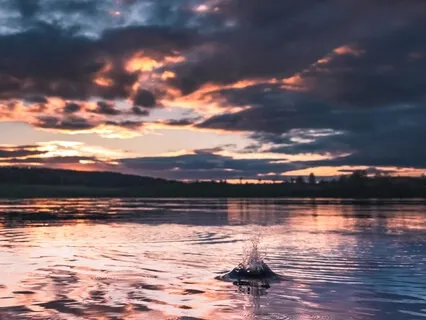 Peaceful Sleep Music With Rain Noises