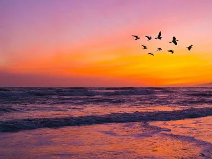 Soothe Soothe Ocean Waves