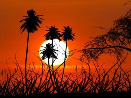 Peaceful Sleep Series - Night Three - Relaxation