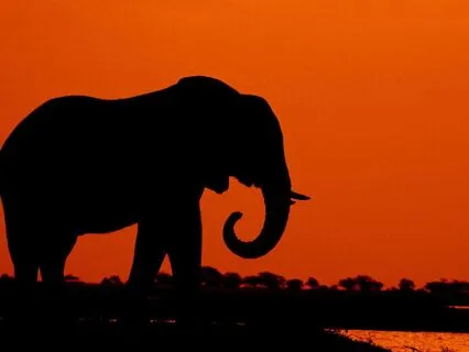 Peaceful Sleep Series - Night Two - Stillness