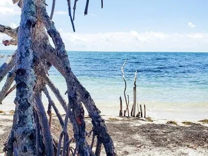 Peaceful Sleep With Yoga Nidra