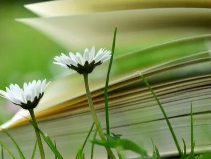 Peaceful Sound For Deep Focus