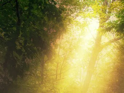 Peaceful Start: Morning Prayer Music