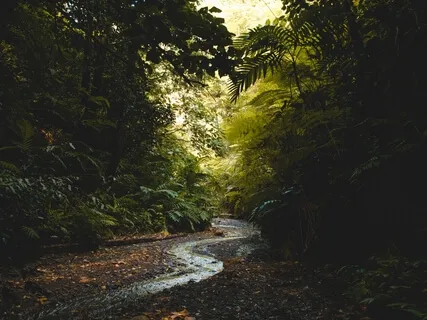 Peaceful Stream: Ten Minutes Of Nature