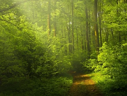 Peaceful Subliminal For A Life Of Luck And Serendipity