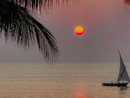 Peaceful Sunset Sail In The Tropics
