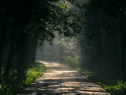 Peaceful Vibes For Meditation