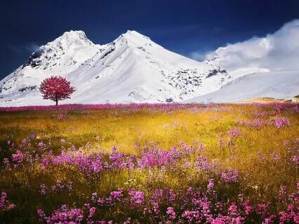 Peaceful Vital Energy Music - Theta Waves