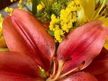 Peaceful Vocal Harmonies For Soothing Meditation