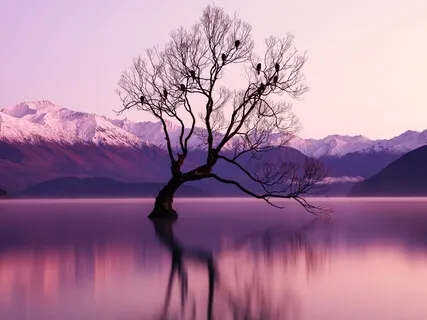 Peaceful, Warming Sound Bath