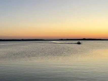 Peaceful Wish: Tranquil Harmony
