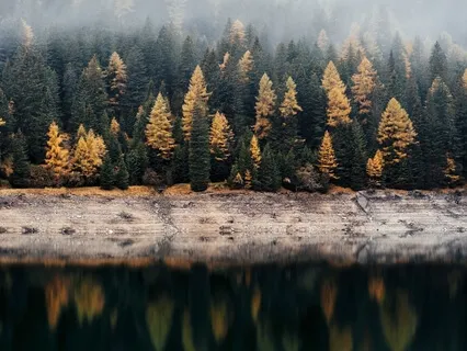 Peaceful Zen Practice- We Are Not Our Thoughts