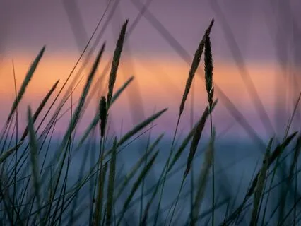 Peaceful Music For Meditation