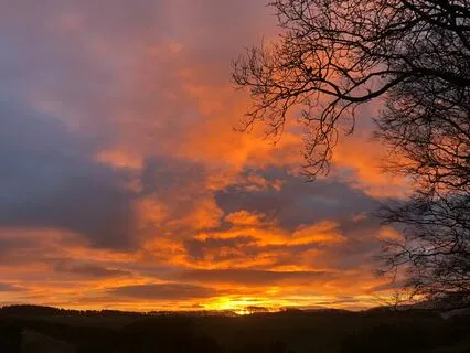 Peacefully Relaxing Five Minutes of Angelic Harp