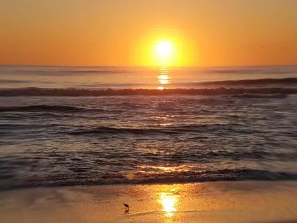 Peacefulness In Two Minutes