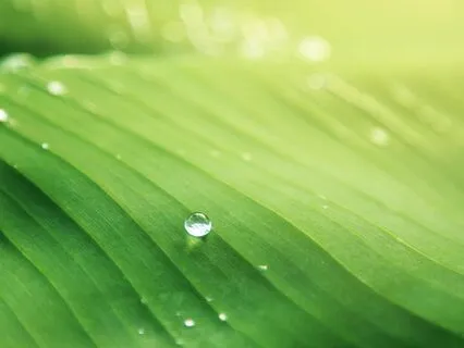 Peak Awareness Orchestra - 40 Hz Gamma Wave Binaural Beats