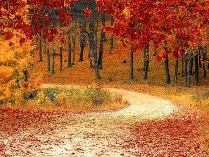 Peak Performance Focus: Ambient Music For High Productivity