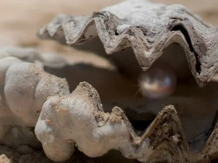 Pearl - Living A Joyful Life