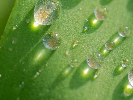 Pearl Of Consciousness: Activate Intuition With Mudra