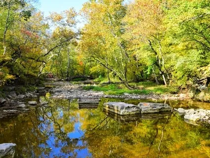 Pebble In A Still Pond