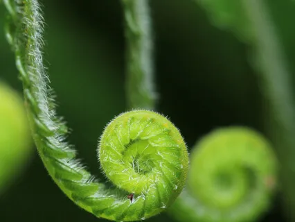 Peel Away Stress, Tension & Anxiety