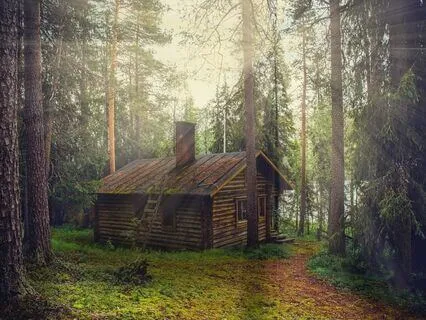 Peeling Back The Layers- Guided Yoga Nidra