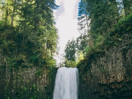 Pelvic Bowl Expansion Meditation