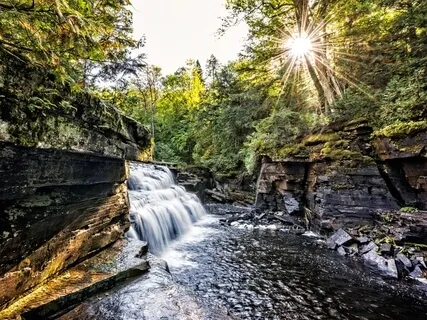 Pelvic Floor Wellness Meditation 