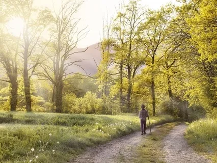 Penelope's Moss Lane - Children's Bedtime Story