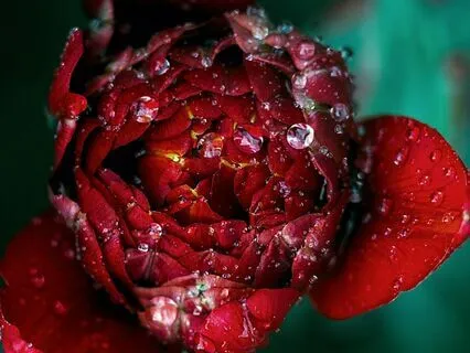 People Do Not Need To Be Fixed, They Need To Be Understood