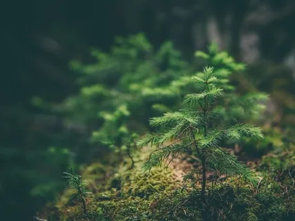 Lydia French: People, Planet & Positivity (Levitate With Ryan Nell Podcast - Episode 3)