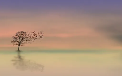 People Pleasing & The Anxious Attachment Style