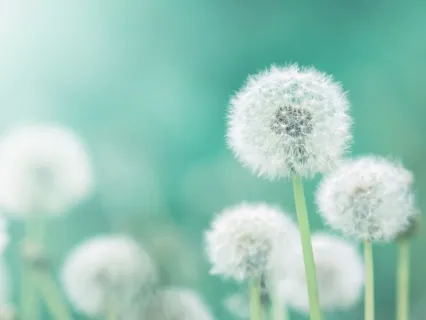 Pep Talk: Fear Is Your Friend